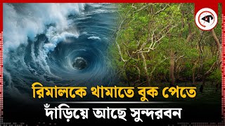 রিমালকে থামাতে বুক পেতে দাঁড়িয়ে আছে সুন্দরবন  Remal Cyclone  Sundarban  Weather Update [upl. by Wyatt349]