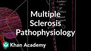 Multiple sclerosis pathophysiology  Nervous system diseases  NCLEXRN  Khan Academy [upl. by Ecadnarb]