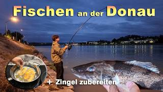 Angeln an der Donau Krebse fangen Zingel zubereiten und essen  Fischen an der Donau in Persenbeug [upl. by Okramed]