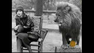 CBS Sunday Morning Almanac MGMs Leo The Lion Finds His Voice [upl. by Wiley50]