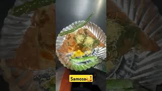 Funny Samosa Song  samosa समोसा foodie streetfood food shortsvideo [upl. by Clara]