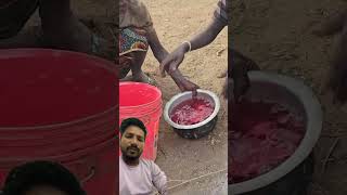 Ek ase cast hadzabetribe food villagelife fish cooking [upl. by Morse]