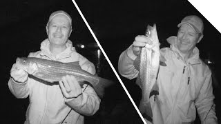 Boatless Angler  Night Bite Striper  Shore Fishing for Striped Bass using Spearing [upl. by Beare]