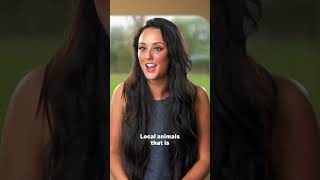 GeordieShore Local animals mtvasia [upl. by Raina]