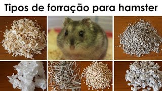 Tipos de forração para hamsters [upl. by Ontine]