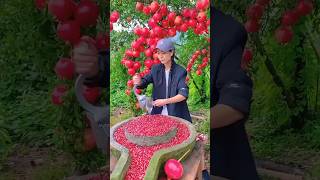 farm fresh fruits satisfyingvideo trendingnow viralvids youtubeshorts shorts [upl. by Wallie780]