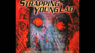 Strapping Young Lad  Skin Me [upl. by Yrrep911]