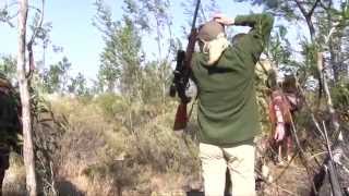 The Shooting Show  Red hartebeest and CZ 557 [upl. by Piero]