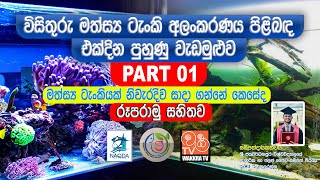 විසිතුරු මත්සය්‍ය ටැංකි අලංකරණය පිළිබඳ එක්දින පුහුණු වැඩමුළුව  Part 01 [upl. by Ynafetse]