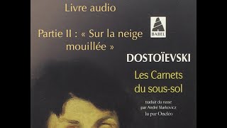 Dostoïevski — quotLes carnets du soussolquot 22 livre audio deuxième partie [upl. by Emmaline]