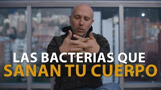 ESTOS SON LOS PROBIÓTICOS QUE LE RECOMIENDO A MIS PACIENTES  LAS BACTERIAS QUE SANAN TU CUERPO [upl. by Aysahc845]