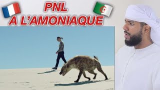 رد فعل خليجي على أغنية بي أن آل في PNL  A lAmmoniaque مش معقول [upl. by Leafar636]