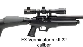 Fx Verminator MkII 22 review A stranger gun fxverminatormkII22 [upl. by Zakaria]