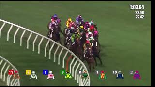 HK Horse Racing at Shatin  Race 10  09112024 prestonepie4395 [upl. by Arun535]