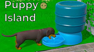 New Puppy Island Shopping  Dogs  And Area [upl. by Shig]