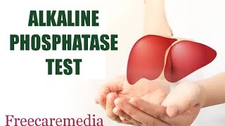 Alp test malayalam Alkaline phosphatase testliver livercancer liverfunction [upl. by Ive]