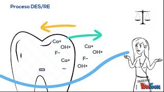 Proceso Desmineralización Remineralización Unidad V [upl. by Macy]