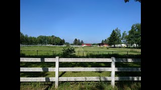 Pastoral in Obihiro [upl. by Aidnyc]