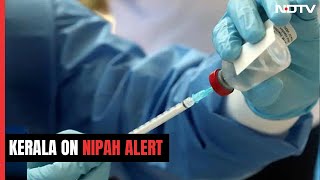 Nipah Alert Sounded In Kerala After Two Unnatural Deaths [upl. by Aiveneg]