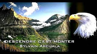 Sylvain Akouala dans quotDESCENDRE CEST MONTERquot [upl. by Ahusoj]