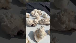 mordenite minerals crystals apophyllite zeolite geology zeolites stilbite gems crystal [upl. by Cedell]