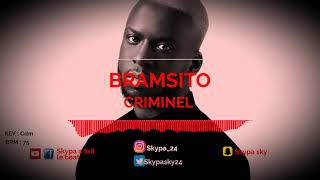 Bramsito x Niska  Criminel Type Beat By Skypa A Fait Le Beat amp Zz [upl. by Nirra]