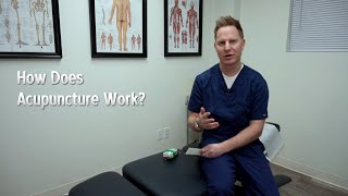 How Does Acupuncture Work By Dr Charles  Toronto Chiropractor [upl. by Atiker55]