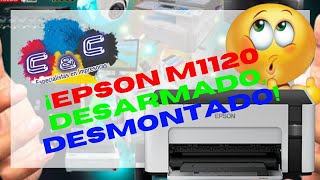 EPSON M1120 Como Realizar Desarmado Desmontado y Mantenimiento MUY BIEN EXPLICADO [upl. by Eilliw]