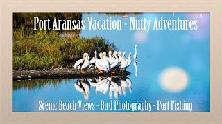 Port Aransas Vacation  Beach Views  Nature Preserve Sea Bird Watching  Port Wildlife Observation [upl. by Yetsirhc]