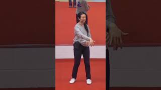 Tai Chi Intentional Transfer of Energy [upl. by Carnay142]