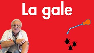 La gale le parasite symptômes et diagnostic traitement [upl. by Bonaparte]