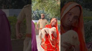 Dadi Dog par kiya kesh 🤣 shorts RamRamJi suspense comedy funny RRJ [upl. by Melentha]