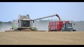 CLAAS lexion 580 à la moisson de l orge dans la Meuse en 2015 [upl. by Mannes657]