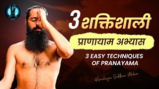 3 शक्तिशाली प्राणायाम अभ्यास  3 Easy Techniques of Pranayama  Himalayan Siddhaa Akshar [upl. by Asel]