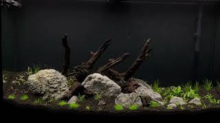 New 46 Gallon Planted Tank [upl. by Atinek]