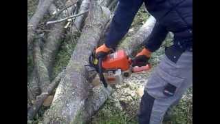 motosega stihl 023 in taglio pioppo [upl. by Riki147]