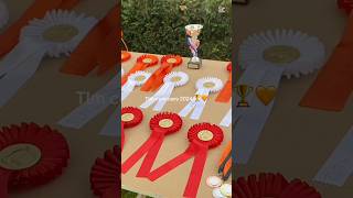 Tlm concours 2024 🏆🧡🥹  volledige video zondag 1011 hobbyhorsing hobbyhorse [upl. by Nyvlem]