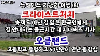 뉴질랜드 자동차여행 8크라이스트처치 승객도 아닌 길 잃은 한국인에게 길 안내하는 뉴질랜드 시내버스기사 오클랜드에서 60년 만에 만난 고등학교 동창생 20231115 [upl. by Nytsirhc865]