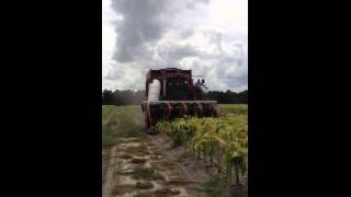 Cotton pickin tobacco harvester [upl. by Rehtaeh]