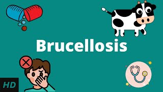 Brucellosis Causes Signs and Symptoms Diagnosis and Treatment [upl. by Oflodur]