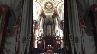 Larghetto from Persichetti Sonata for Organ  MaryKatherine Fletcher  Methuen Memorial Music Hall [upl. by Suivart]