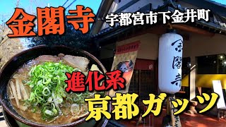 【京都ラーメン金閣寺・宇都宮市下金井町】 気になるメニュー ●京都ガッツを初オーダー ご飯泥棒の味わいに大満足 [upl. by Eurd]