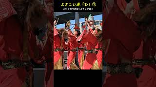 よさこい連「わ」③【第25回こいや祭り 2024】よさこい踊りYosakoiDance [upl. by Byram985]