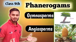 Classification of PlantsPhanerogams Ep03Class 9th [upl. by Atiana]