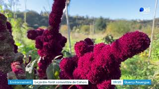 REPORTAGE CAHORS JARDIN COMESTIBLE [upl. by Calder]