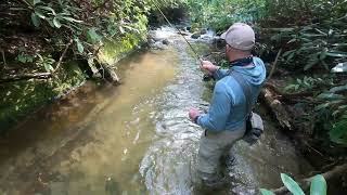 Blue Line Fishing for Southern Appalachian Brook Trout [upl. by Ettore]