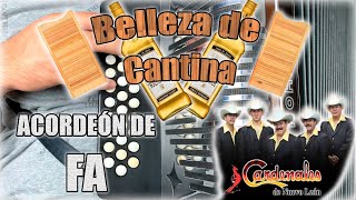 TUTORIAL Belleza de Cantina  Cardenales de Nuevo León  Acordeón de Fa  Con arreglos  FULL HD [upl. by Cleave]