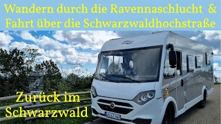 Zurück im SCHWARZWALD🌲mit ➡️ Regenwanderungen ☔️ zauberhaften Orten🏡und sensationellen Ausblicken🔭🤩 [upl. by Bronez]