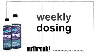 ATM Outbreak Why Dosing Regimen Is Important [upl. by Cohl974]