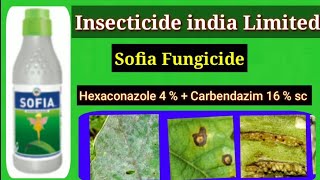 Sofia fungicide  Hexaconazole 4  Carbendazim 16  sc [upl. by Lobel622]